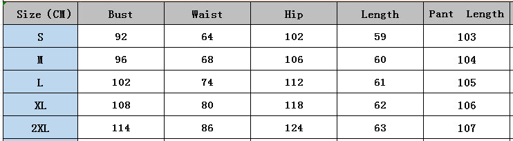 Women Round Neck Sleeveless Top and Pants Two-piece Set 10