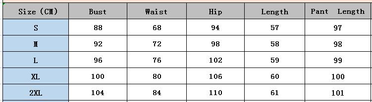 Spring Print Fashion Casual Elegant Sleeveless Two Piece Pants Suit 16