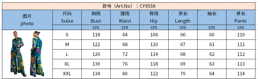 Women Print Casual Top and Pant Two-Piece Set 12