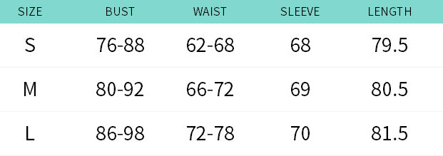 Women's Slim Long Sleeve Stand Collar A-Line Short Dress 9