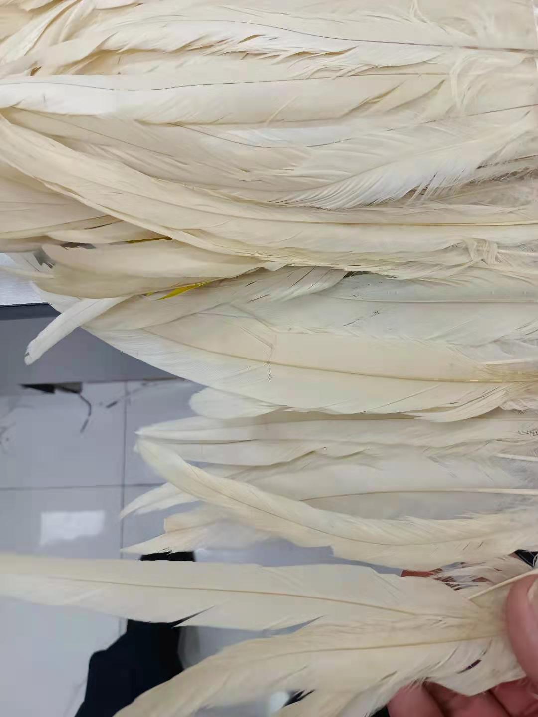 Women fall sexy off shoulder dress 14