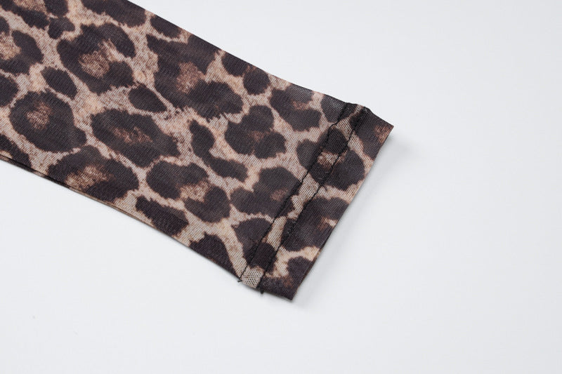 Women Summer Sexy Mesh Print See-Through Long Sleeve Dress 11