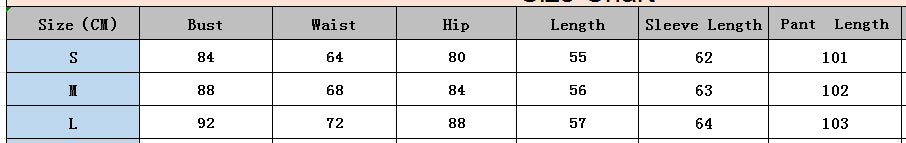 Autumn Sexy Leopard Print Long Sleeve Crop Top High Waist Pants Two Piece Set 7