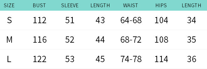 Autumn and Winter Women's Fluffy Casual zipper long sleeve two piece shorts Set 10