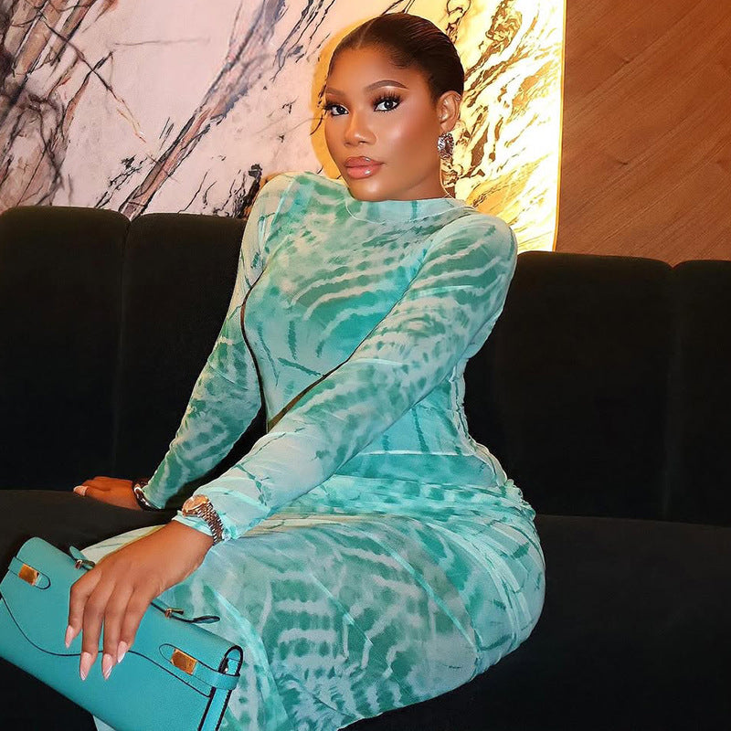 Women Printed Mesh Waist Bodycon High Neck Long Sleeve Chic Dress 5