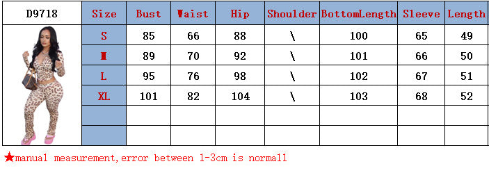 Women Autumn Zipper Hooded Leopard Print Top and Pants Two Piece Set 11