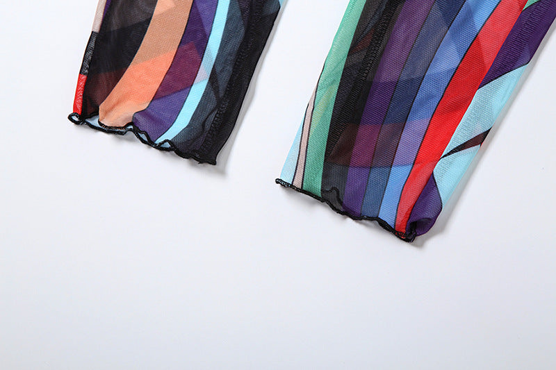 Women Winter Trend Multi-Color Printed Half-High Neck Long Sleeve Mesh Dress 15