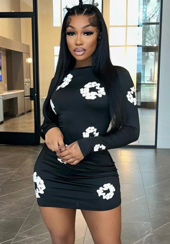 Women Round Neck Long Sleeve Flower Print Dress