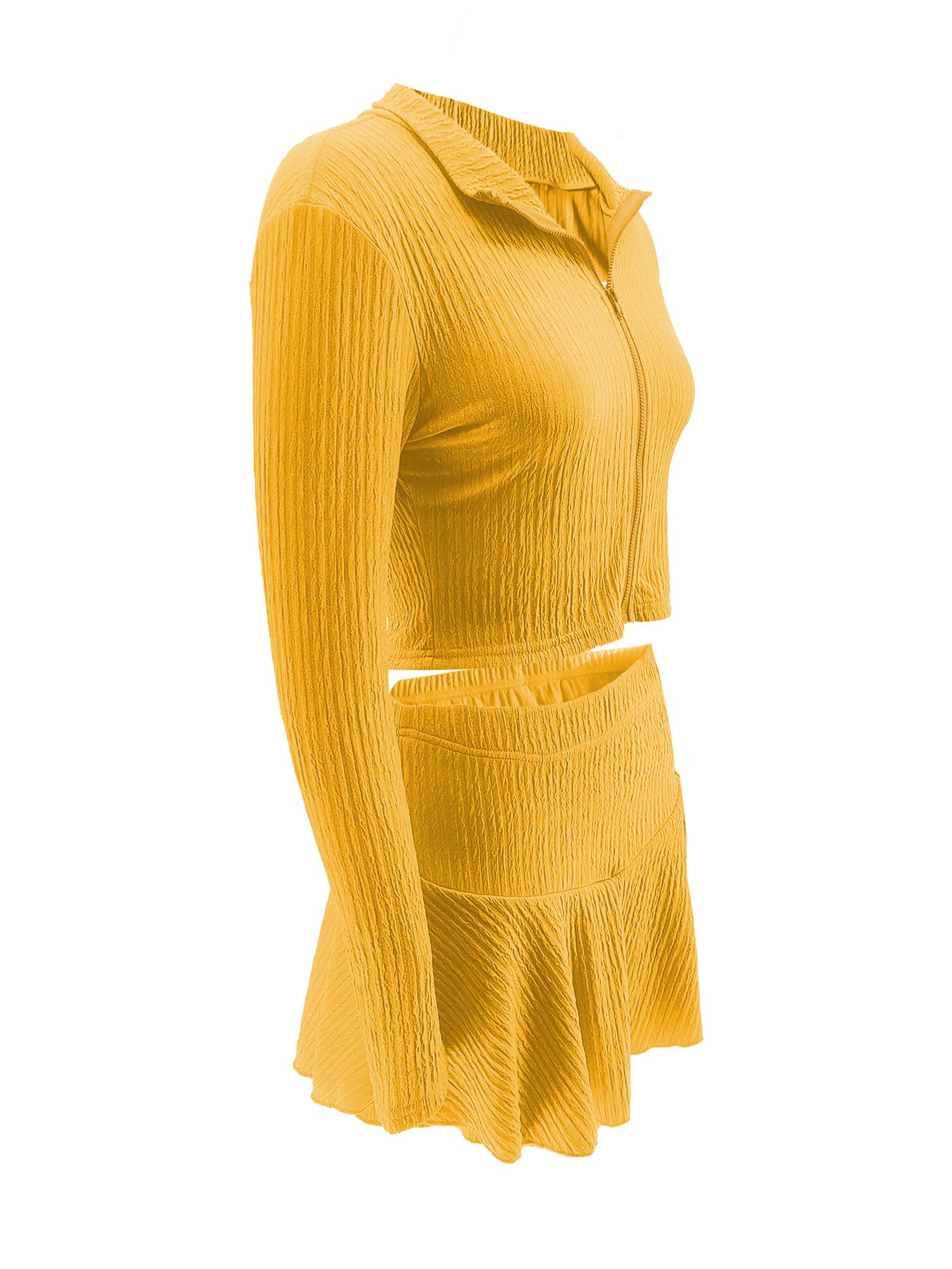Women Solid Zippered Cropped Top Two-piece set with ruffled skirt 39