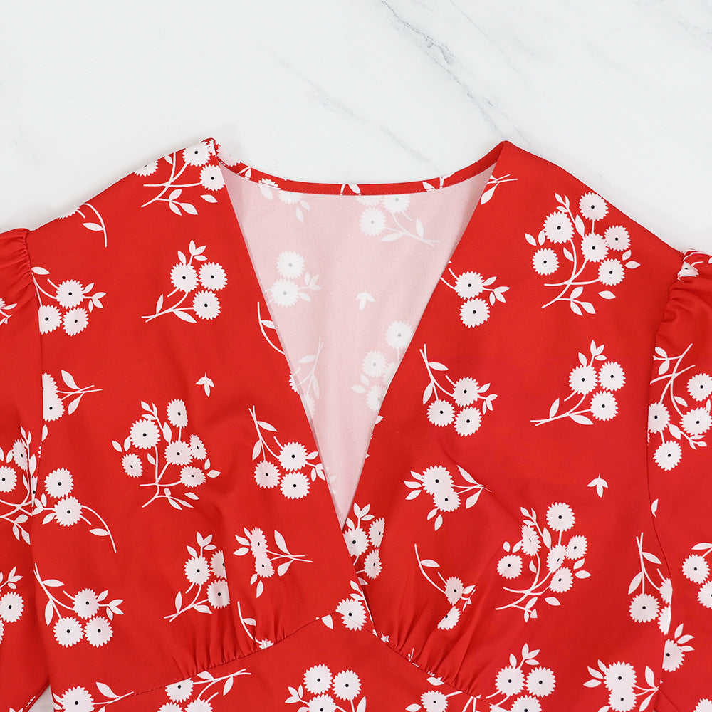 Women Floral Print V Neck Maxi Dress 6