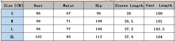 Round Neck Puff Sleeve Top Pants Two-Piece Set 7