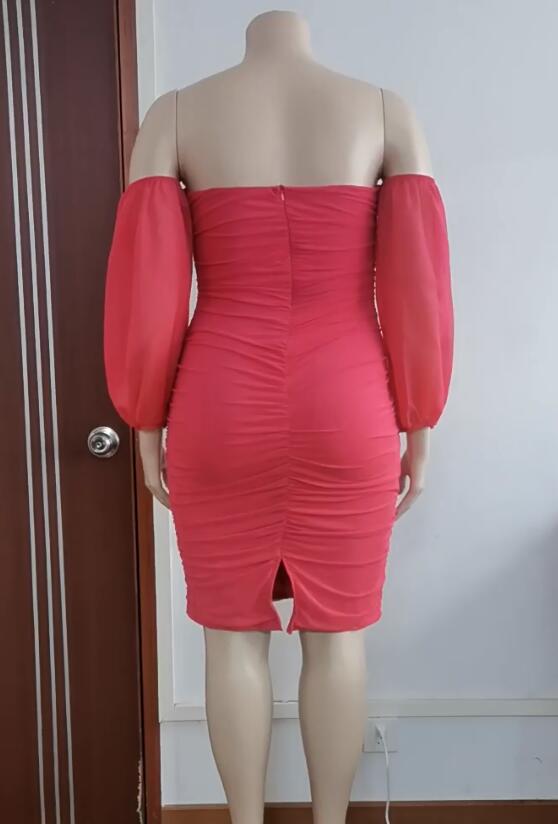 Plus Size Women Fall Mesh Pleated Long Sleeve Dress 16