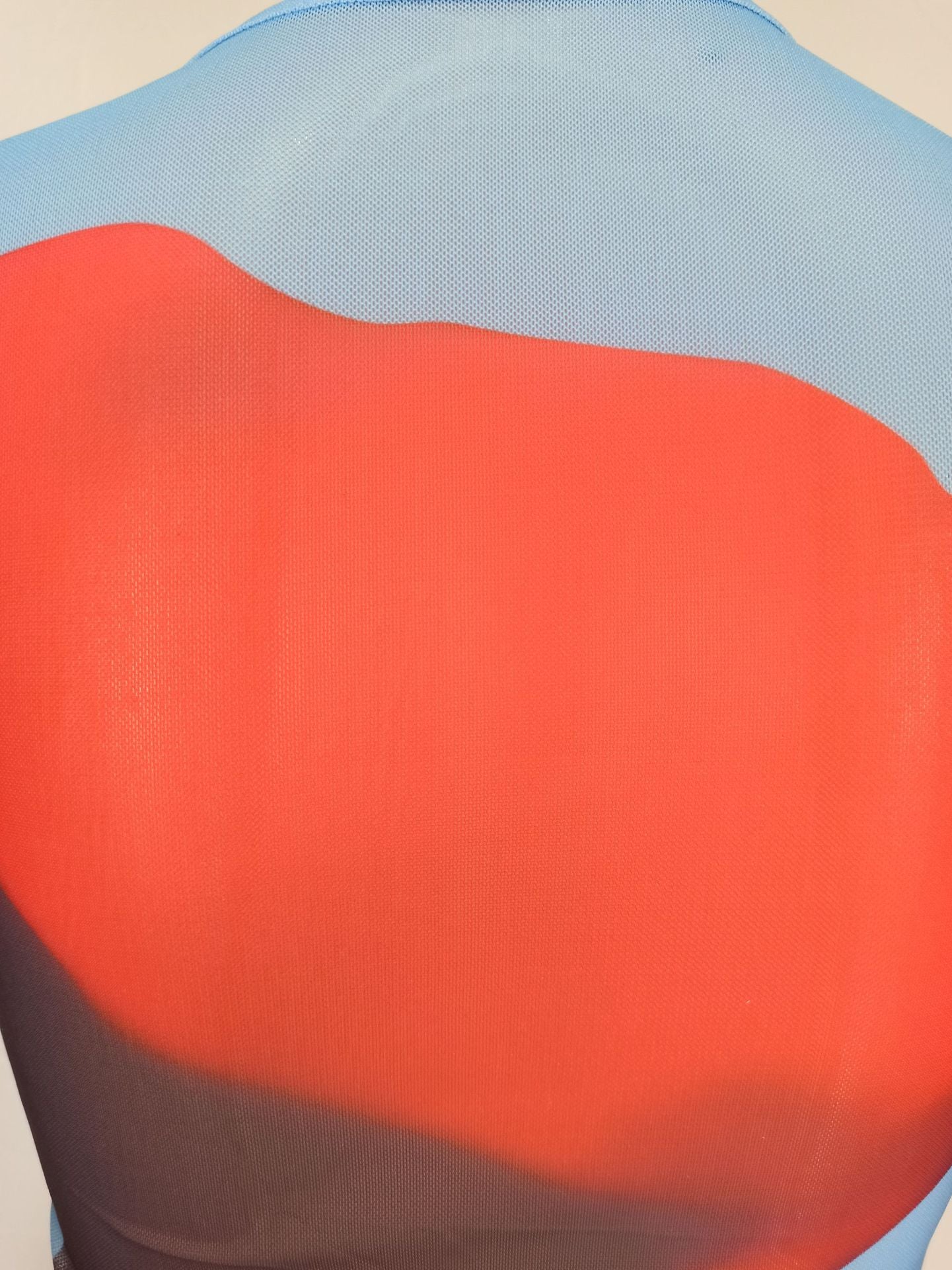 Women's Clothing Sexy Printed Mesh Slit Dress For Women 13