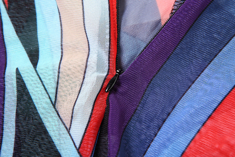 Women Winter Trend Multi-Color Printed Half-High Neck Long Sleeve Mesh Dress 13