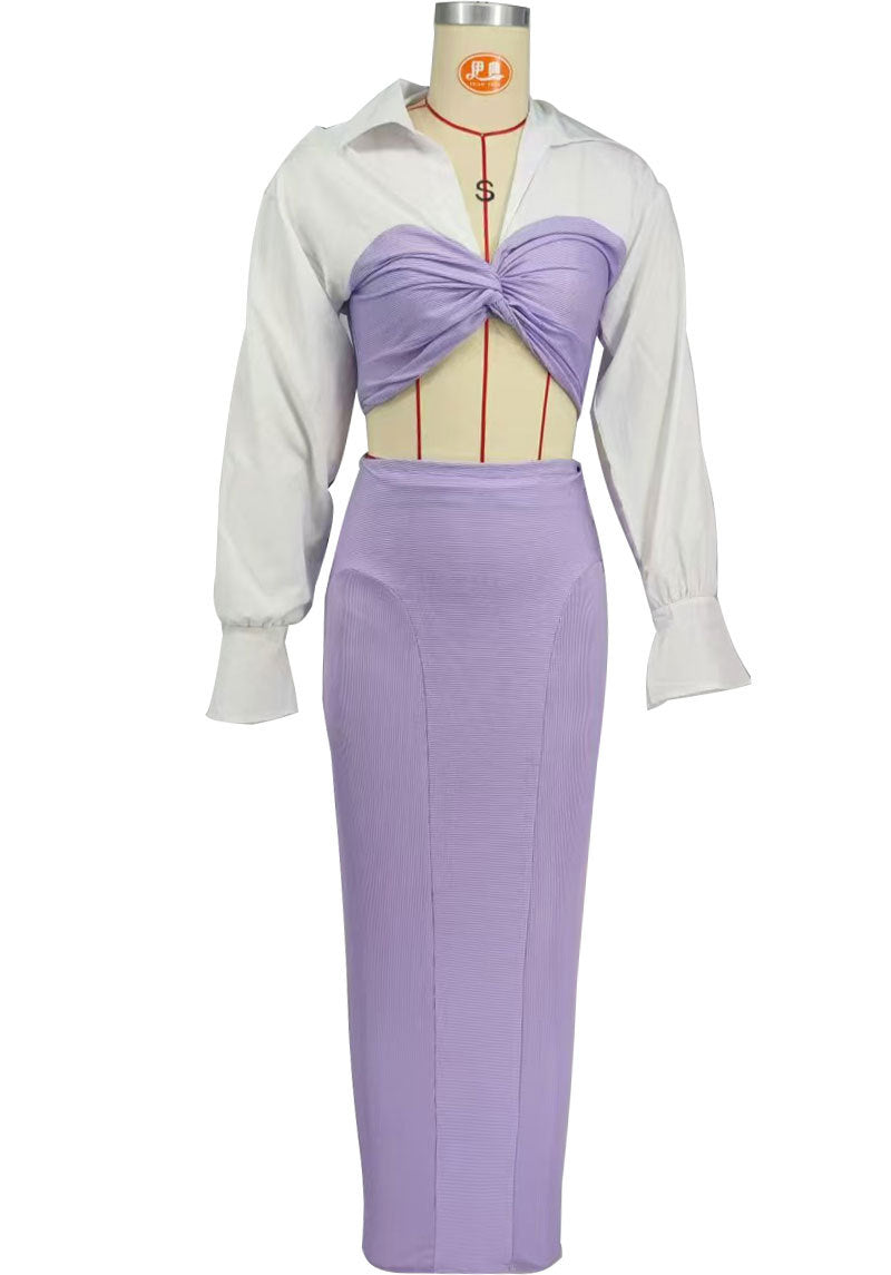 Fashionable Autumn Women Casual Long Sleeve Women's Two-Piece Skirt Set 8