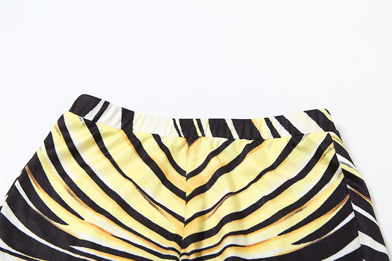 Summer Women's Zebra Print Deep V-Neck Top & Slim Shorts Set 13