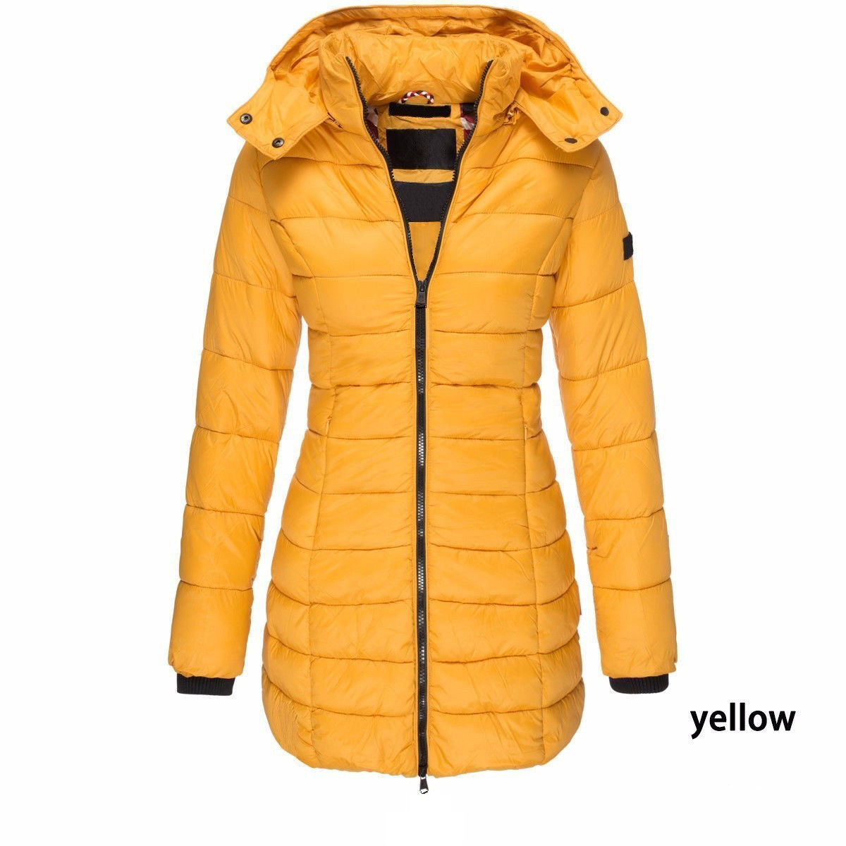 Slim Hooded Zipper Cotton Padded Down Jacket For Women 7