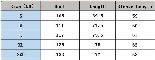 Autumn winter women's long-sleeved printed top Turndown Collar lantern sleeve shirt 21