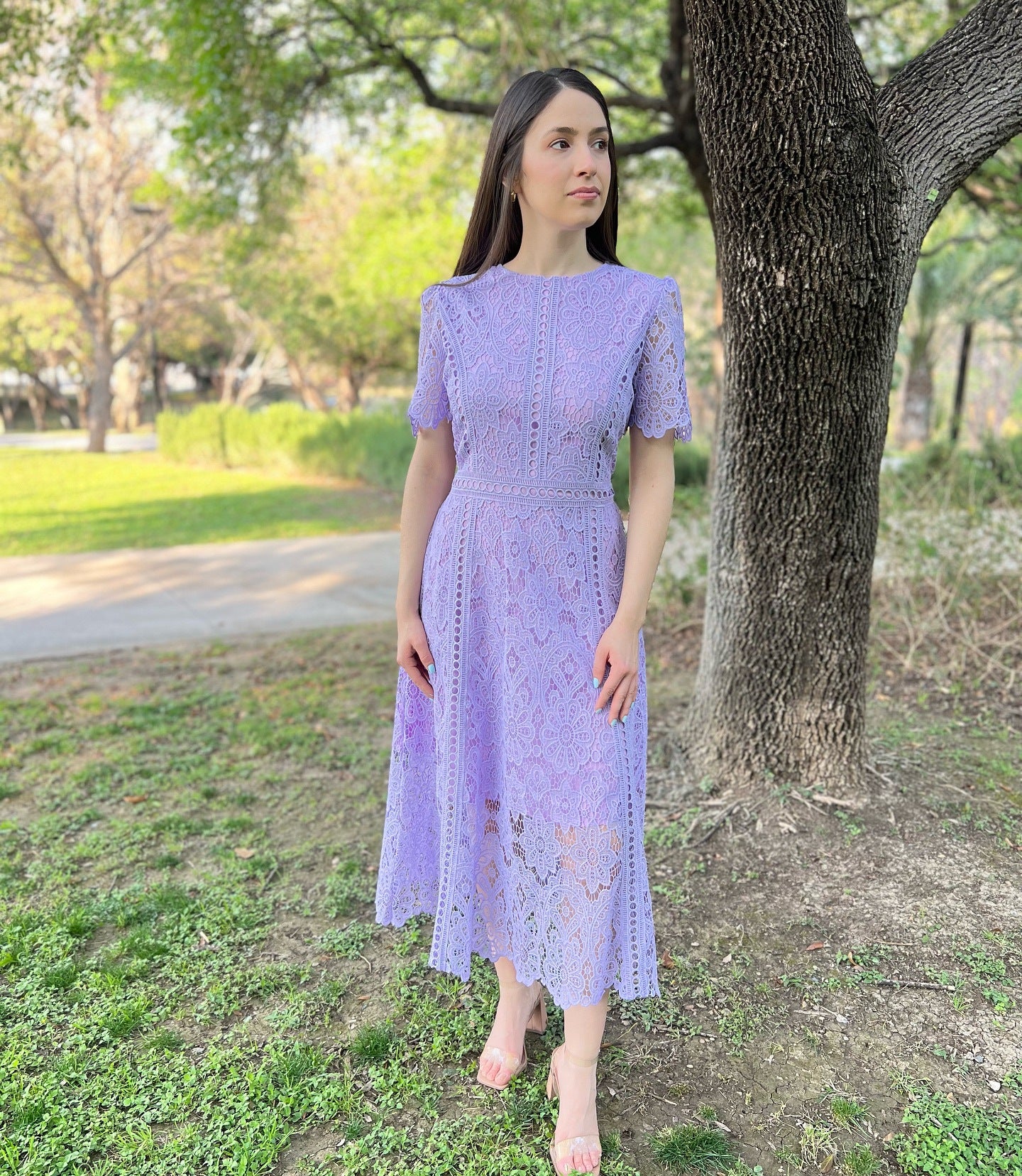 Round Neck Ruffle Sleeve Lace Dress Women's Summer Slim Fit Chic Elegant Gown 5