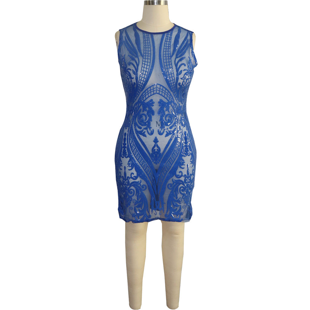 Women's Beaded Embroidery Round Neck Sleeveless See Through Sexy Nightclub Dress 8