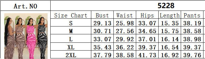 Women Beach Dress Sexy Printed Two-piece Set 16