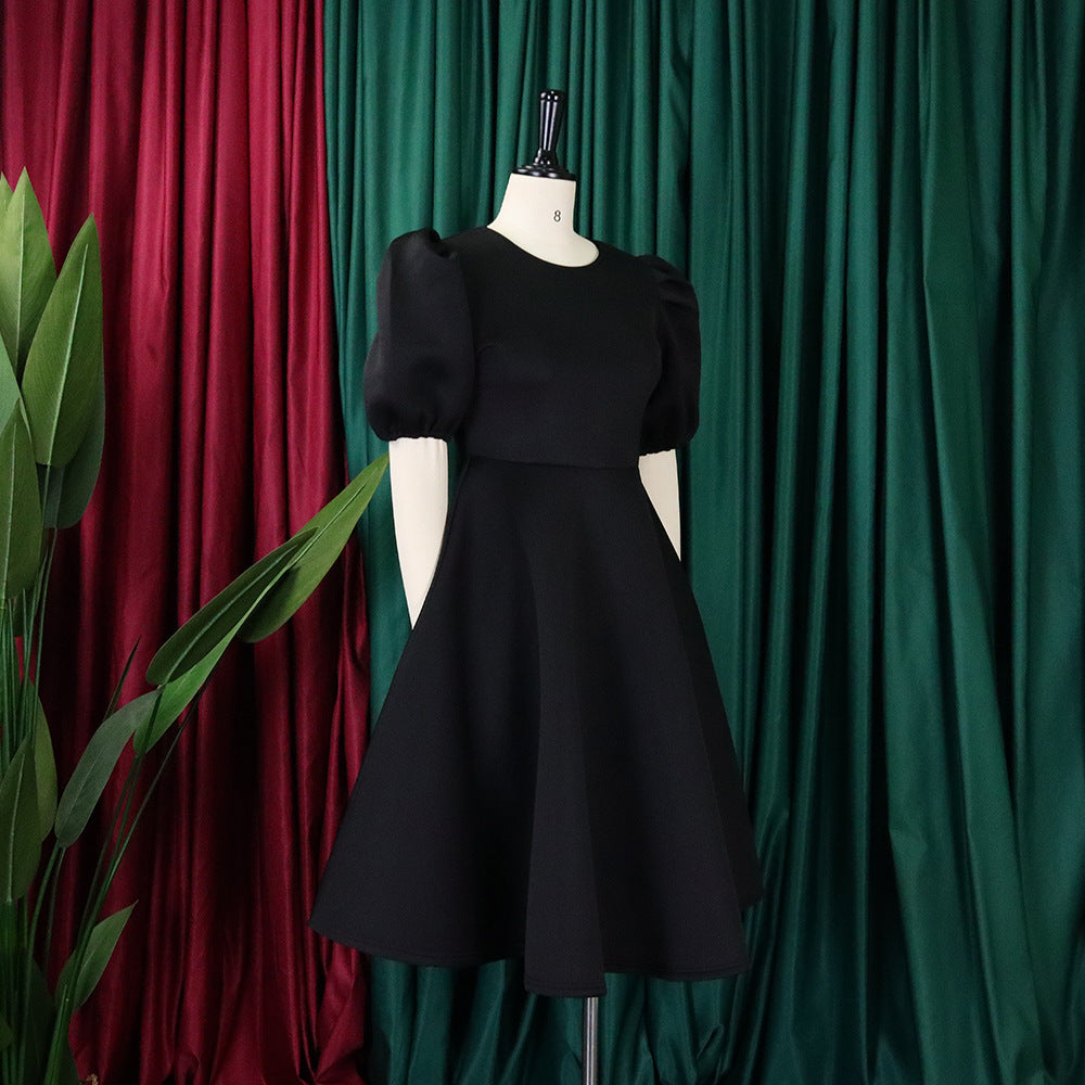 Women Round Neck Puff Sleeve Dress 29