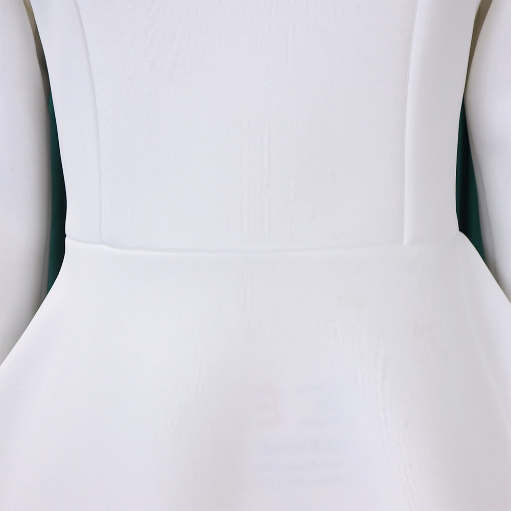 Winter Chic Elegant Fur Decorated Long Sleeve A-Line African Party Dress 38