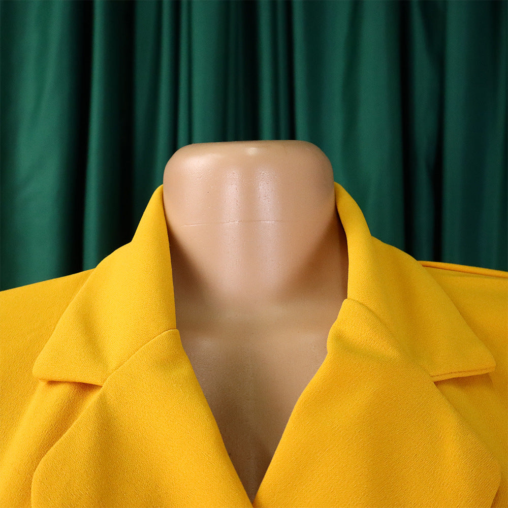 Plus Size Women's Fashion Turndown Collar Fashion Lace-Up Slim Waist Pleated African Dress 16