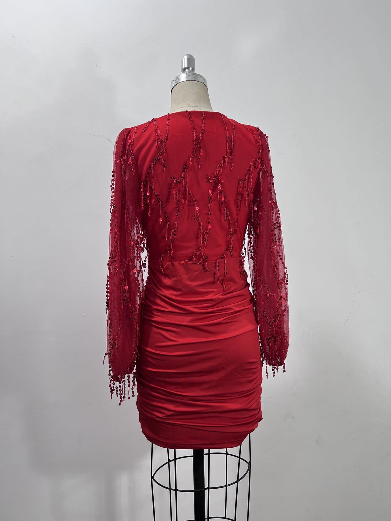 Women's Long Sleeve Sequin Tassel Fashionable Dress 12