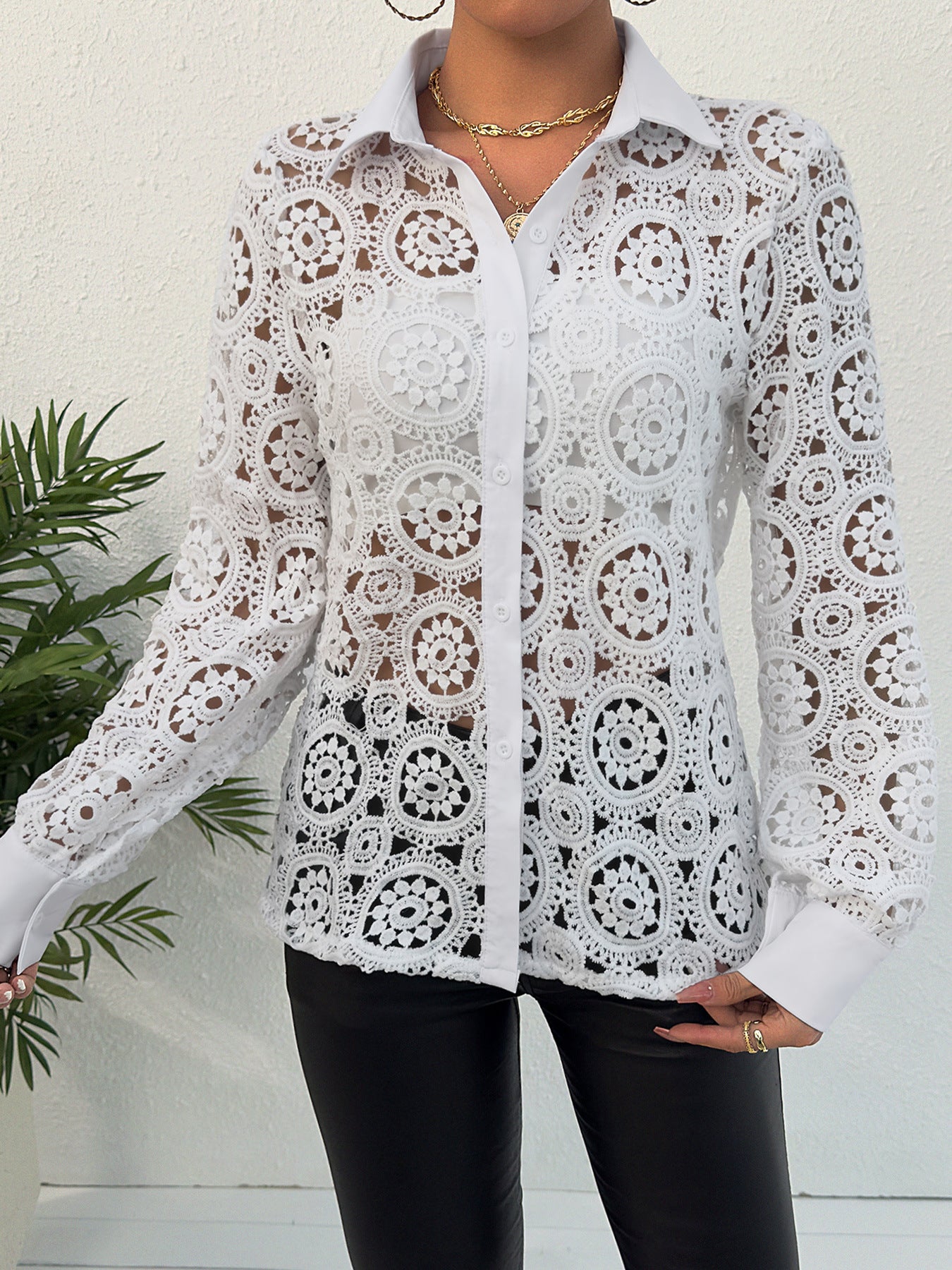 Spring Long Sleeve Lace V Neck Women's Shirt 4