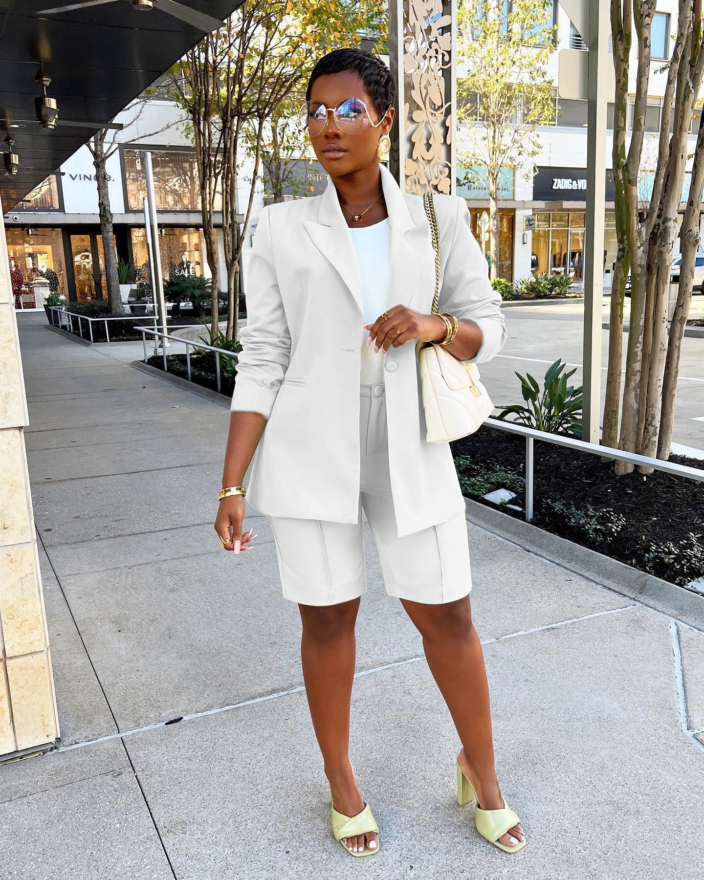 Women Career Blazer and Shorts Two-Piece Set