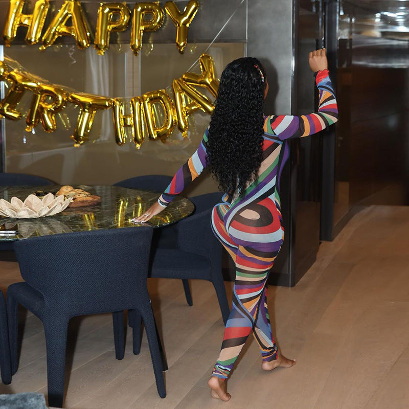 Women Winter Trend Multi-Color Printed Half-High Neck Long Sleeve Mesh Dress 3