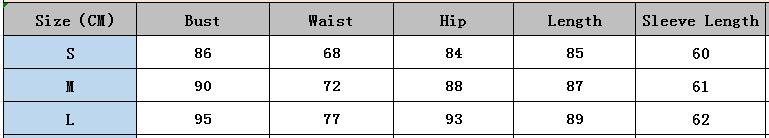 Women Clothing Lantern Sleeve Party Sequin Dress 16