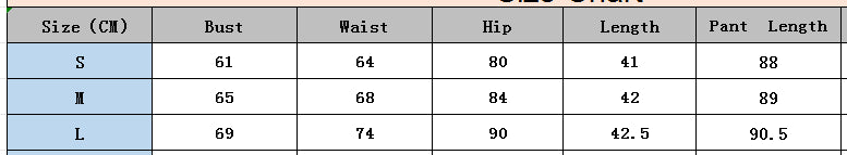 Women spring leopard print Strapless Top and Skirt two-piece set 19