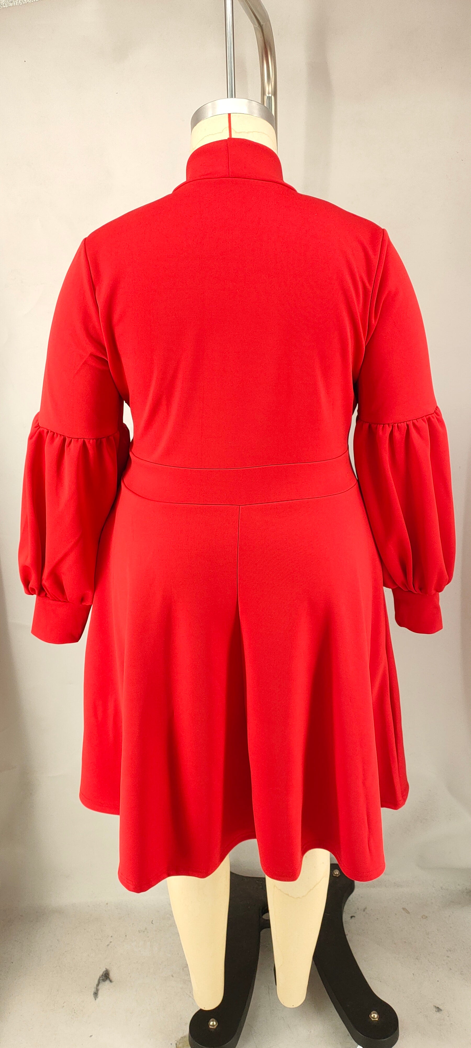 Plus Size Women's tied Neck Puff Long Sleeve A-line Dress 12