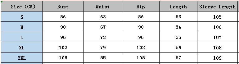 Fashion Casual Women's Zip Long Sleeve Top Pants Two Piece Set 10