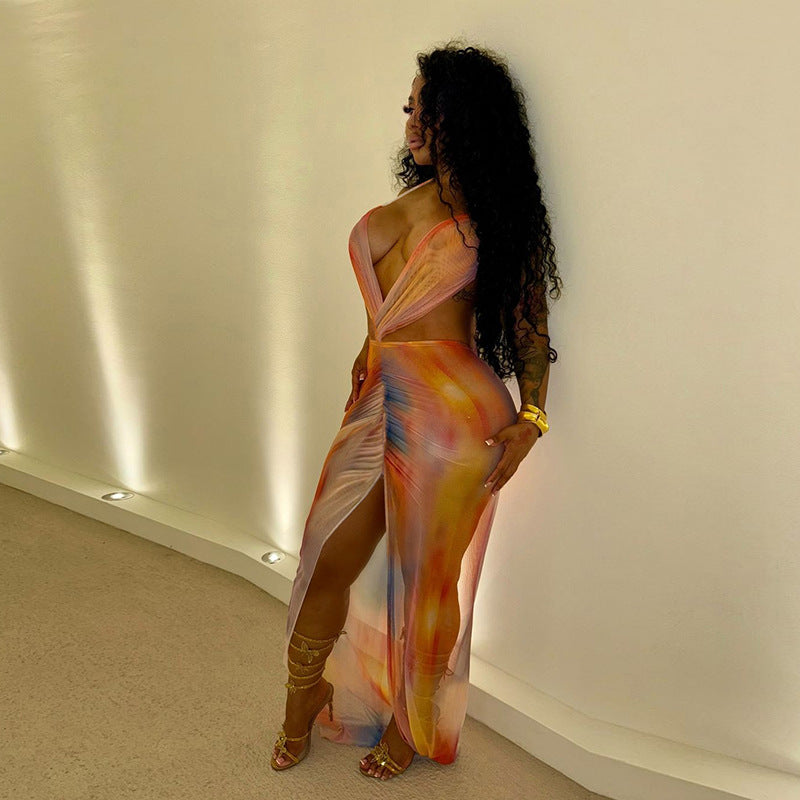 Summer Women's Sexy Halter Neck Low Back Print Mesh Long Dress 4