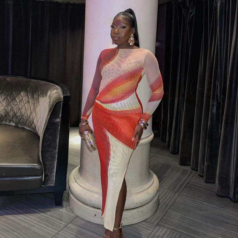 Women Spring Round Neck Long Sleeve Sexy Mesh Print Maxi Dress 3