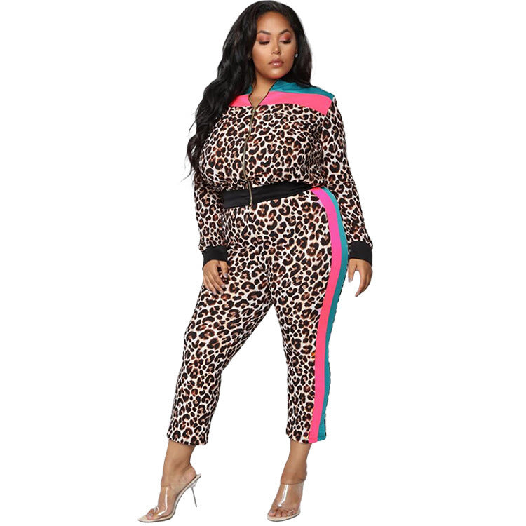 Autumn Slim Fit Set Stylish Leopard Color Block Zipper Two-Piece Pants Set 6