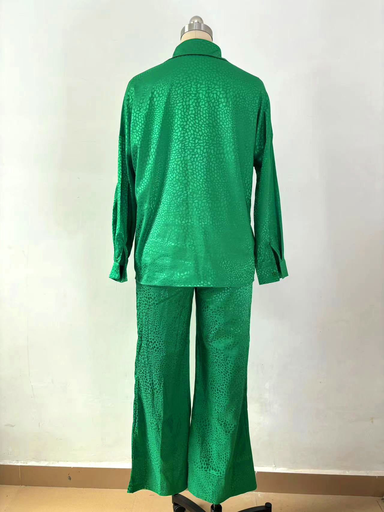 Women Long Sleeve Turndown Collar Shirt Leopard Print Pants Women Casual Two-Piece Set 14