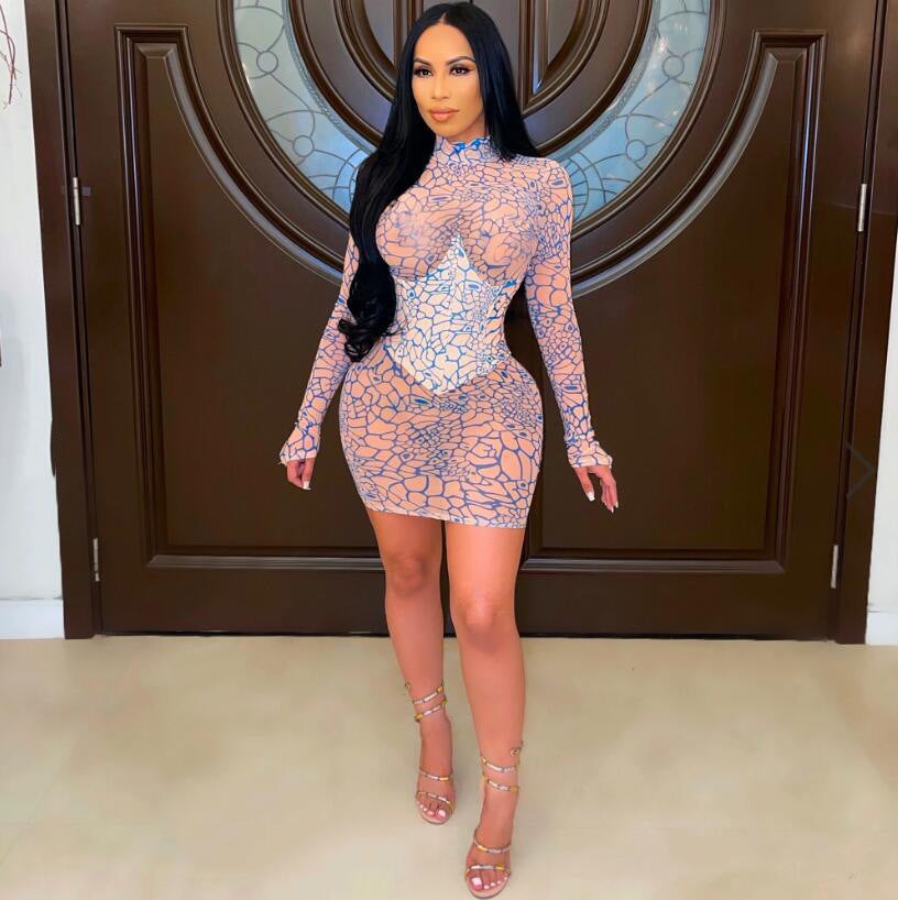 Summer See-Through Mesh Dress Women High Collar Print Long Sleeve Tight Fitting Bodycon Dress 4