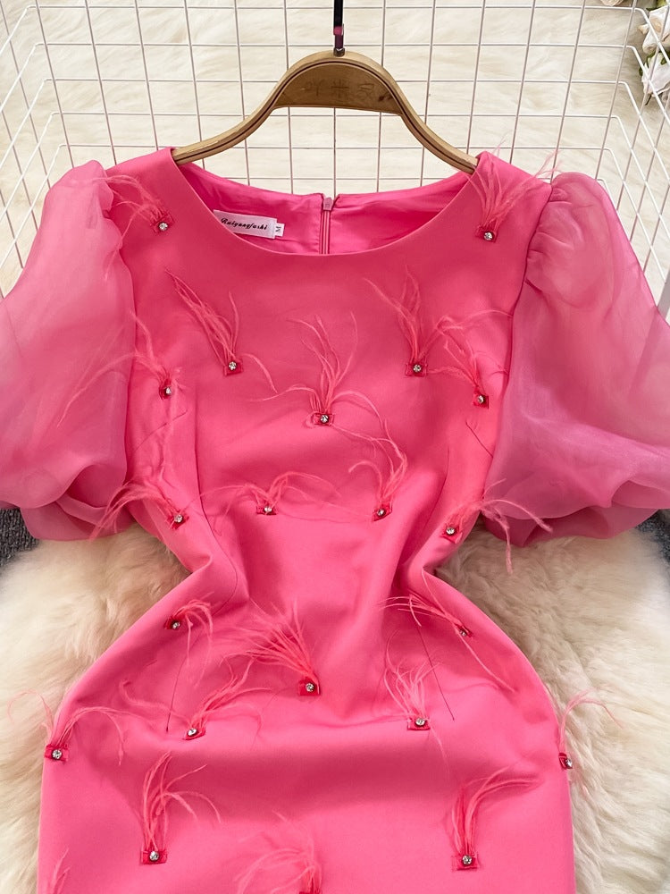 Luxury Chic Puff Sleeve Round Neck Slim Waist Slim Fit Tassel Bodycon Dress 5