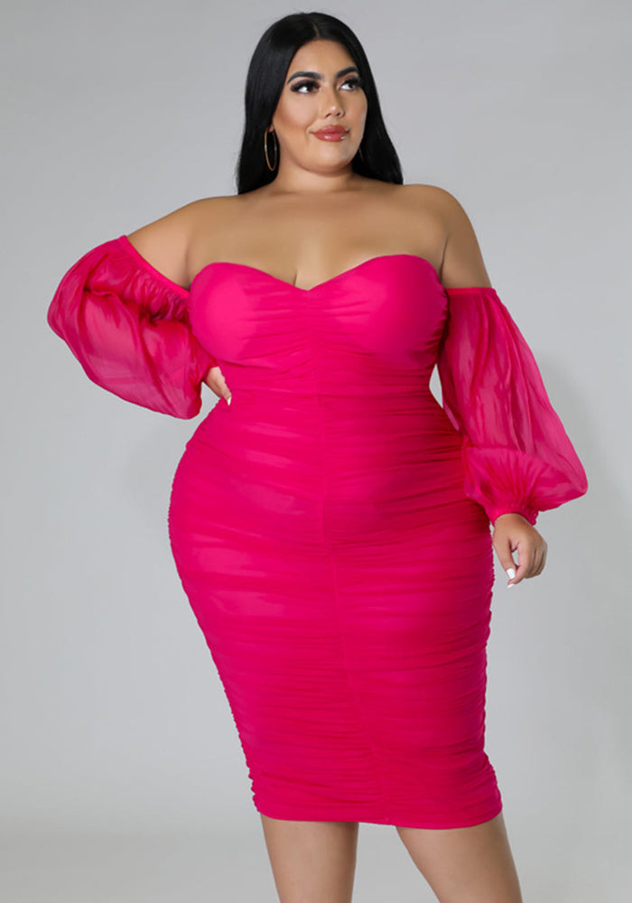 Plus Size Women Mesh Pleated Long Sleeve Dress