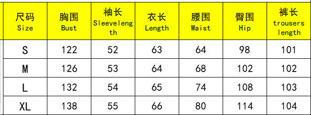 Women Casual Solid Hoodies Sports trousers two-piece set 24