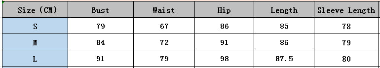 Autumn Winter Sexy Chic Dress Butterfly Sequin Lantern Sleeve Long Sleeve Party Nightclub Dress 11