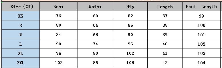 Summer 2 Piece Vest Long Skirt Set 4