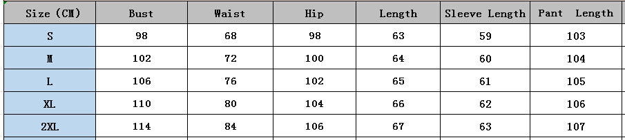 Spring Women's Clothing Long Sleeve Fashion Casual Printed Shirt High Waist Career Pants Set 13