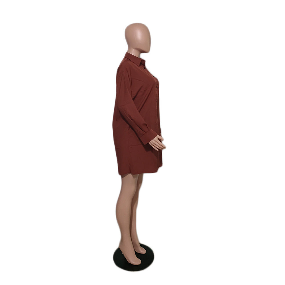 Blue Turn-Down Collar Shirt 8