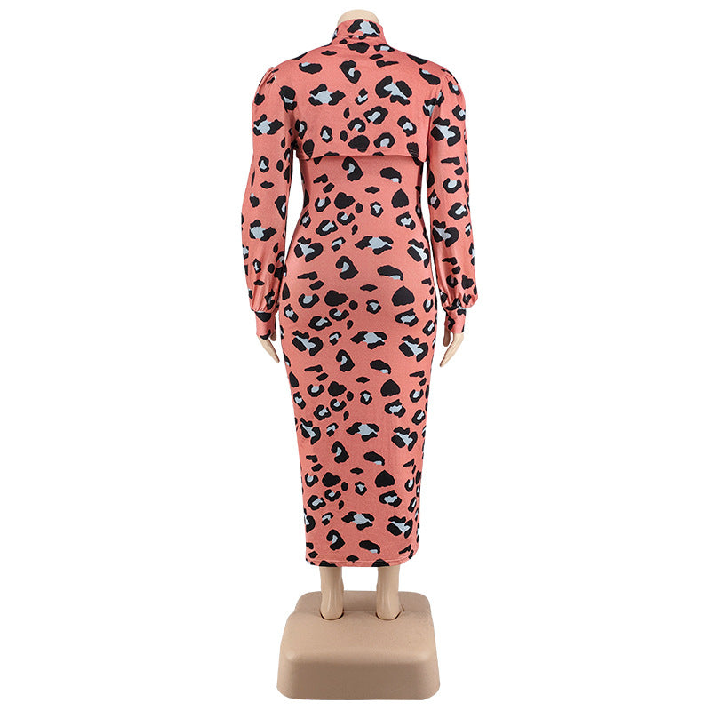 Sexy Plus Size Women's Spring Leopard Print Puff Sleeve Dress 12