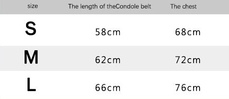 Deep V neck Lace Bow Satin Night Dress Robe Two Piece Sleepwear Set 8